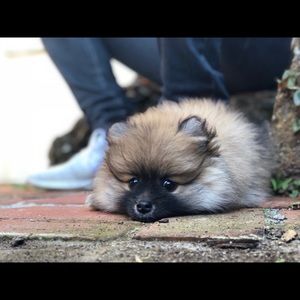 Meet your Posher, Kristin